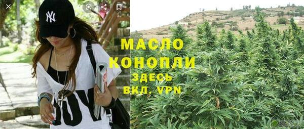 метадон Алексин