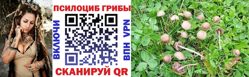 Псилоцибиновые грибы прущие грибы  Грайворон 